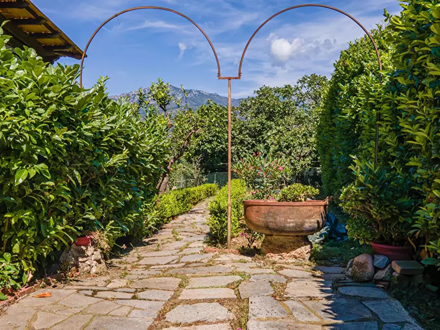 Immagine 7 di Terreno edificabile in vendita  in Via alle Ville 3 a Ventimiglia