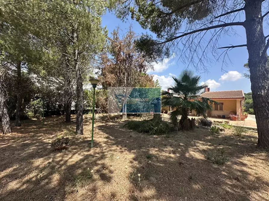 Immagine 3 di Terreno edificabile in vendita  in Via Corrado Montoneri San Corrado di Fuori a Noto