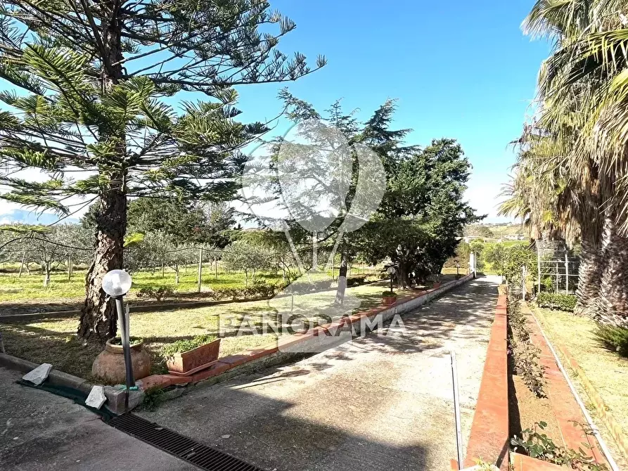 Immagine 38 di Terreno edificabile in vendita  in Contrada Grassuri a Partinico