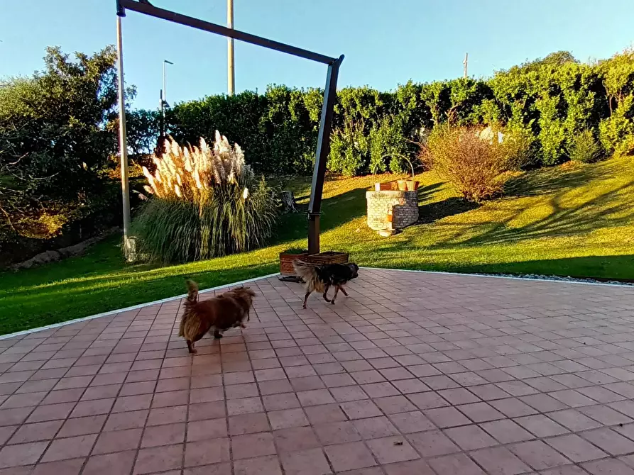Immagine 71 di Terreno edificabile in vendita  a Refrontolo