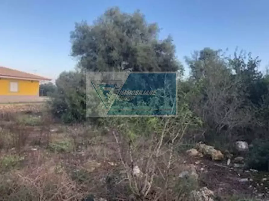 Immagine 3 di Terreno in vendita  in Via Brancati a Buccheri