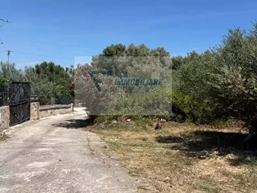 Immagine 4 di Terreno in vendita  in Via Attilio Regolo a Siracusa