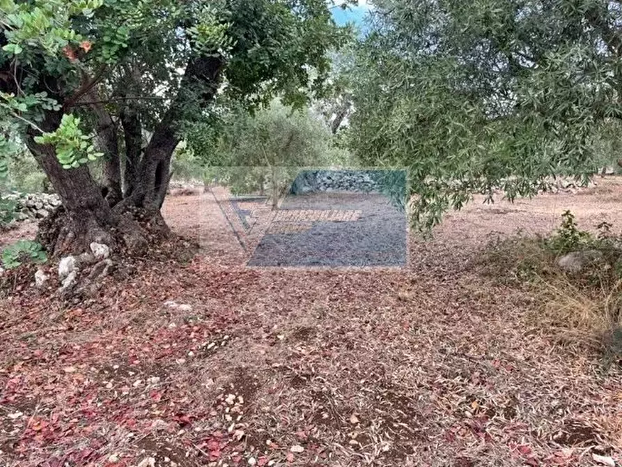 Immagine 7 di Terreno in vendita  in Contrada Trigona a Buccheri