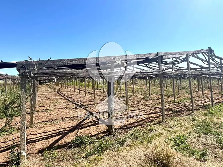 Immagine 1 di Terreno in vendita  in contrada passariello a Balestrate