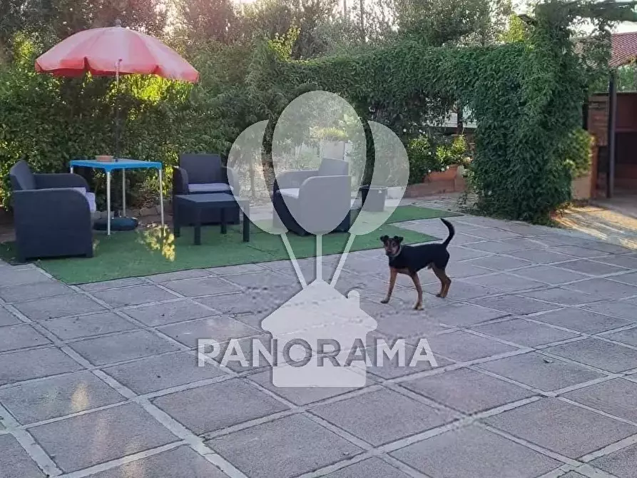 Immagine 5 di Terreno edificabile in vendita  in B&B falconeria a Partinico