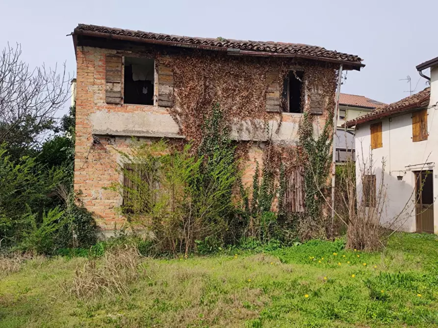 Immagine 3 di Terreno edificabile in vendita  a Santa Lucia Di Piave