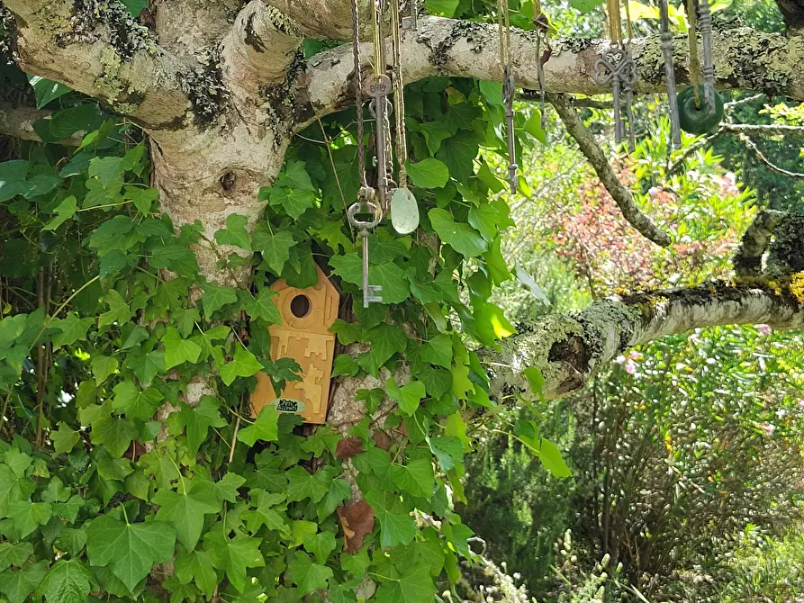 Immagine 32 di Terreno edificabile in vendita  a Apricale