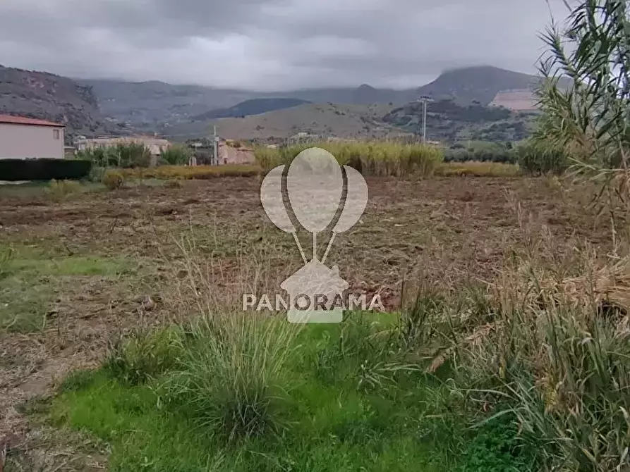 Immagine 1 di Terreno in vendita  in Rurale 14 a Partinico