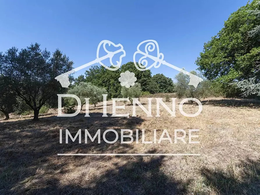 Immagine 4 di Terreno in vendita  a Roma