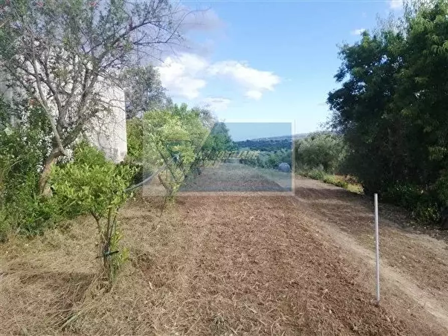 Immagine 4 di Terreno in vendita  a Siracusa