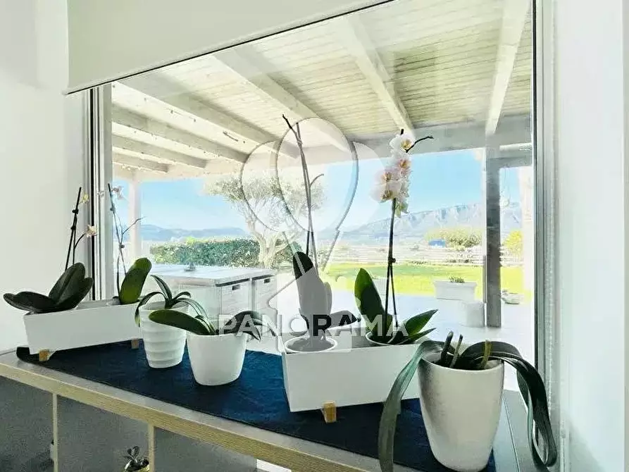 Immagine 3 di Terreno edificabile in vendita  in contrada montagna a Alcamo