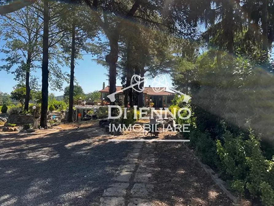 Immagine 25 di Terreno edificabile in vendita  in Strada Valle del Dragone a Arlena Di Castro