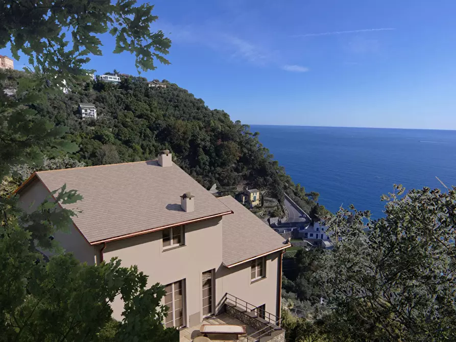 Immagine 2 di Terreno edificabile in vendita  in San Pietro de Rovereto a Avegno