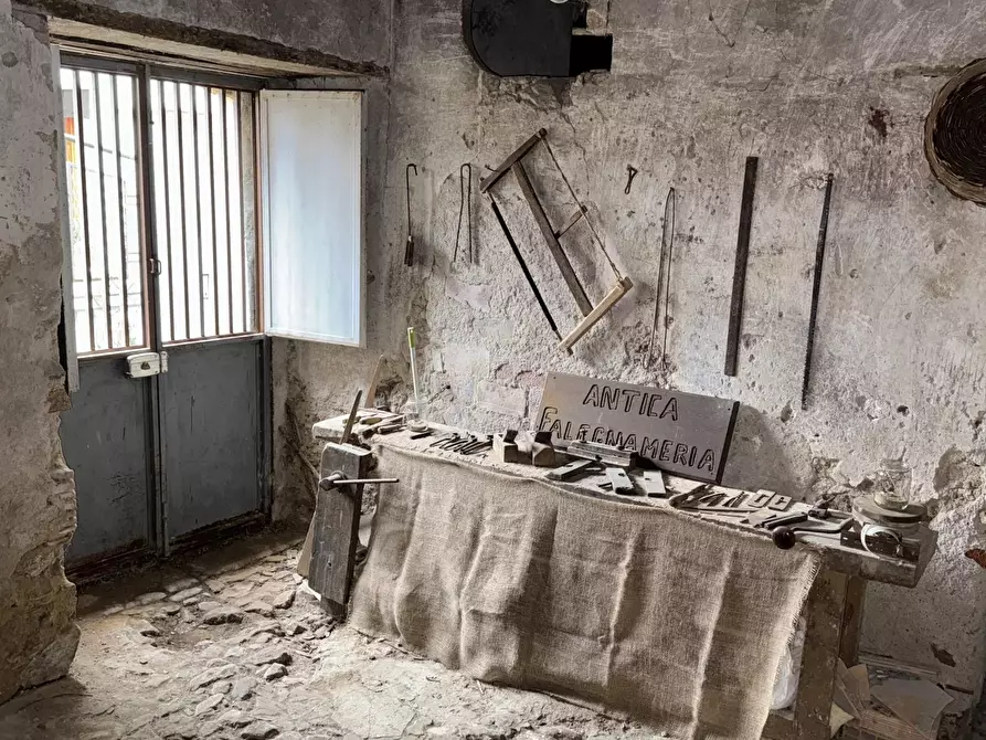 Immagine 8 di Terreno edificabile in vendita  a Bianchi