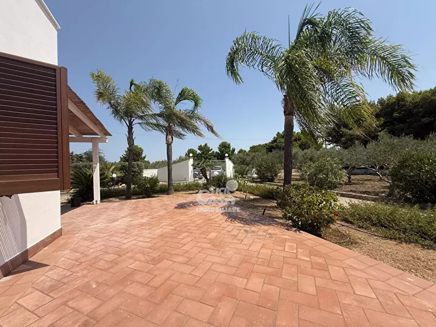 Immagine 17 di Terreno edificabile in vendita  a Marsala