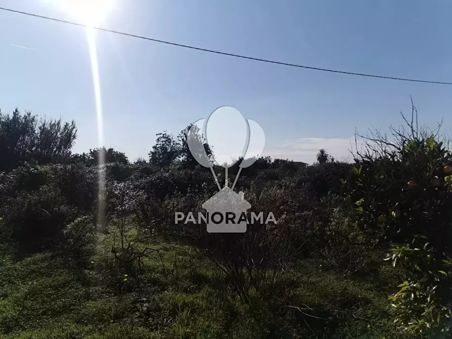 Immagine 9 di Terreno in vendita  in Contrada San Cataldo a Capaci