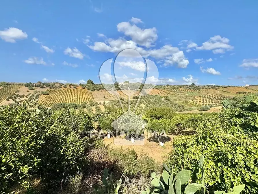 Immagine 13 di Terreno edificabile in vendita  in Contrada Casale a Alcamo