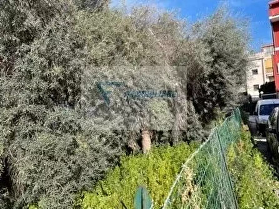 Immagine 4 di Terreno in vendita  in Via Goffredo Mameli a Siracusa