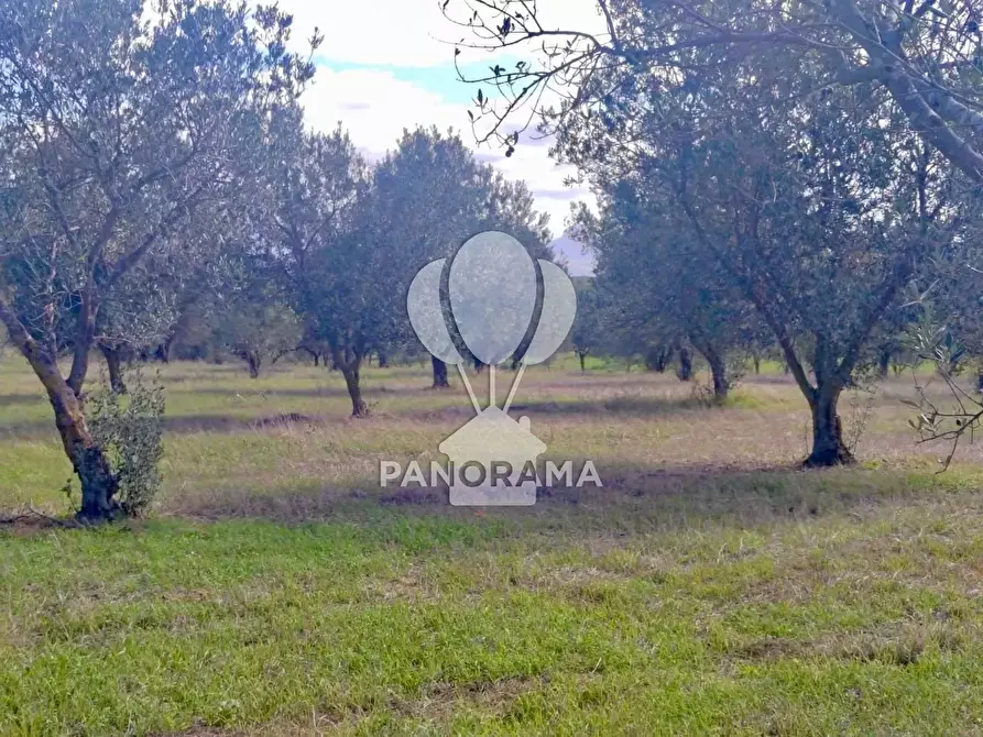 Immagine 26 di Terreno in vendita  in Contrada Manostalla a Balestrate