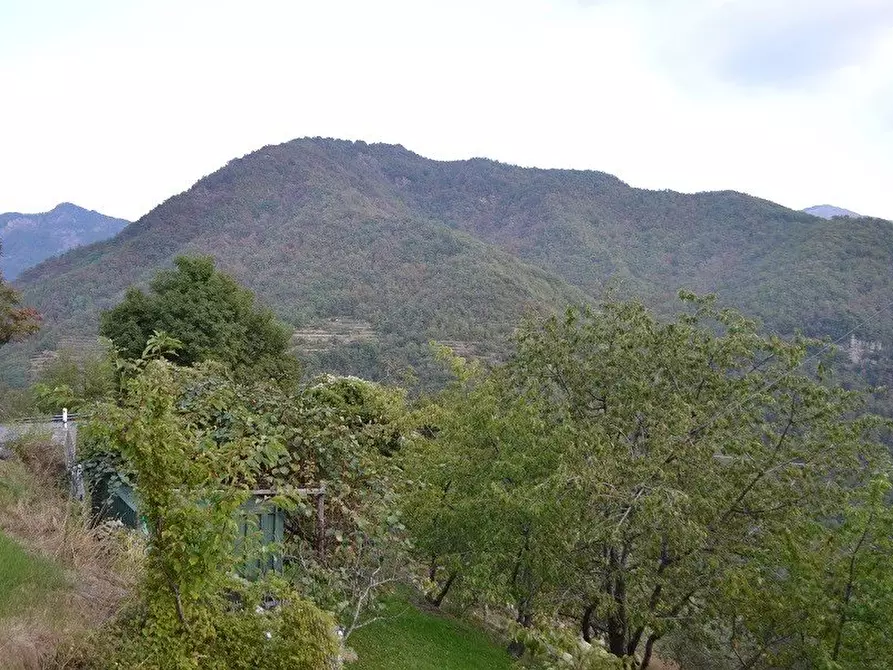 Immagine 12 di Terreno edificabile in vendita  in Via San Bernardo a Coreglia Ligure