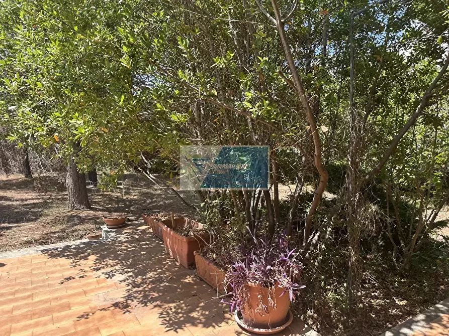 Immagine 17 di Terreno edificabile in vendita  in Via Corrado Montoneri San Corrado di Fuori a Noto