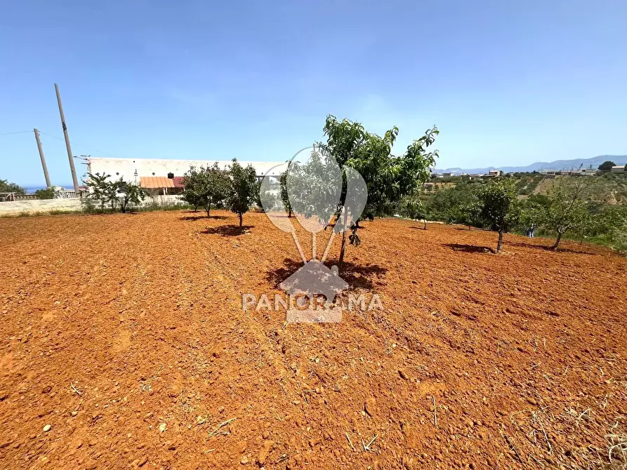 Immagine 3 di Terreno in vendita  in Contrada Vallone del Lupo a Alcamo