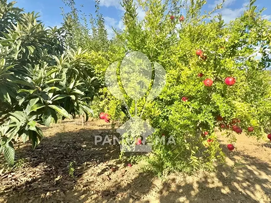 Immagine 18 di Terreno edificabile in vendita  in Contrada Casale a Alcamo