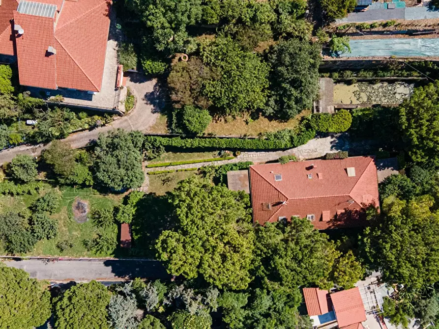 Immagine 3 di Terreno edificabile in vendita  in Via alle Ville 3 a Ventimiglia