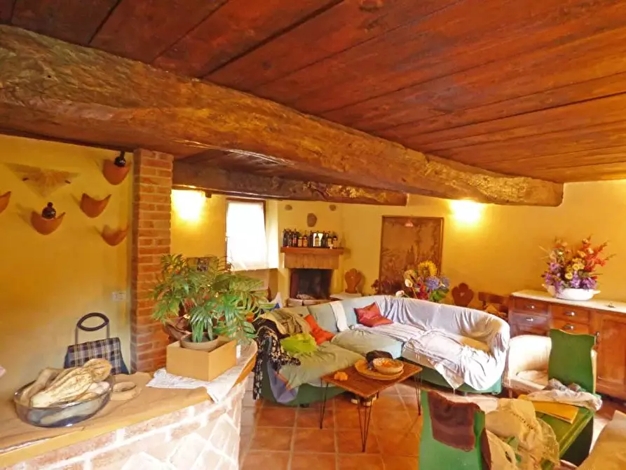 Immagine 6 di Terreno edificabile in vendita  a Dogliani