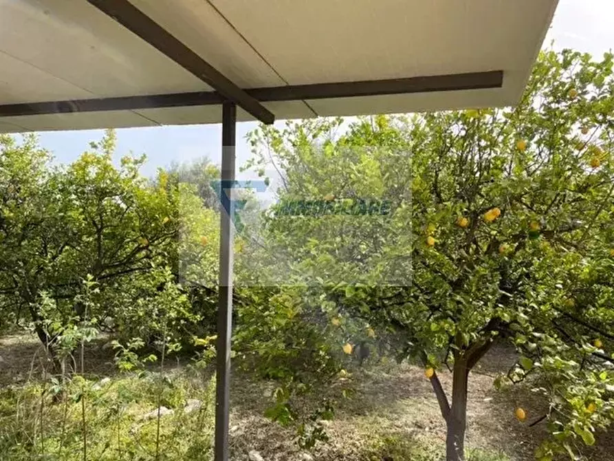 Immagine 38 di Terreno edificabile in vendita  in Ronco Tarantello a Siracusa