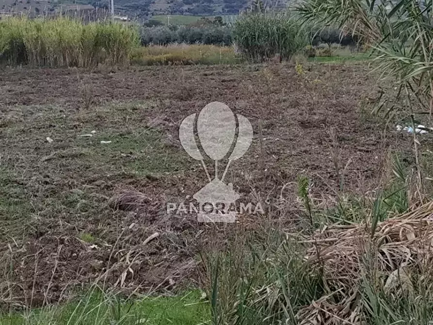 Immagine 8 di Terreno in vendita  in Rurale 14 a Partinico