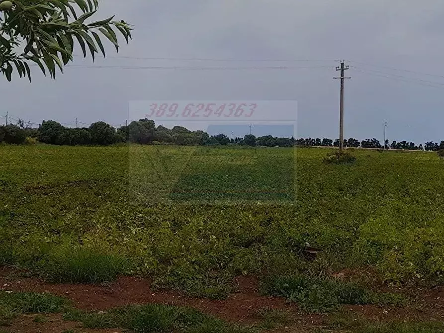 Immagine 4 di Terreno in vendita  in Via dell'Opale a Siracusa