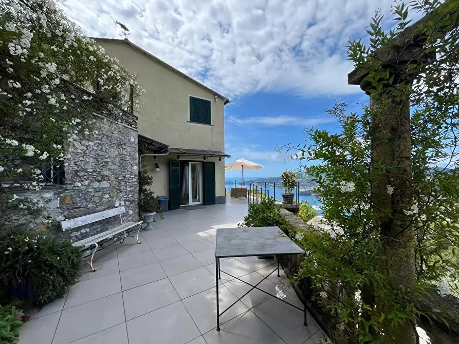 Immagine 4 di Terreno edificabile in vendita  in Via San Bernardo a Avegno