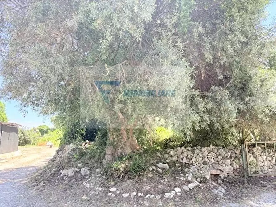 Immagine 10 di Terreno in vendita  in Via Attilio Regolo a Siracusa