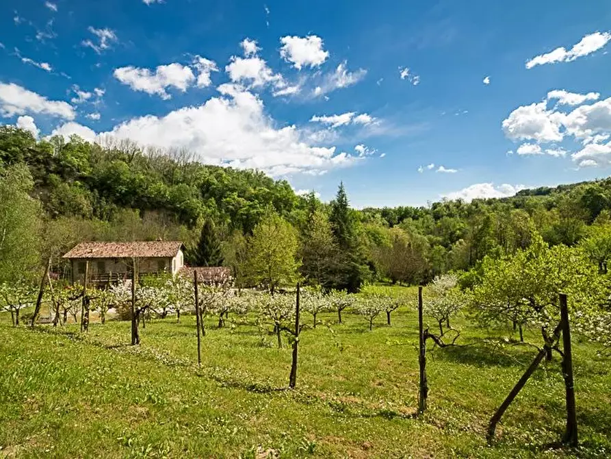 Immagine 19 di Terreno edificabile in vendita  a Refrontolo