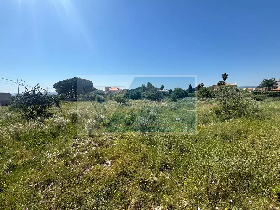 Immagine 6 di Terreno in vendita  in Strada Tremmilia a Siracusa