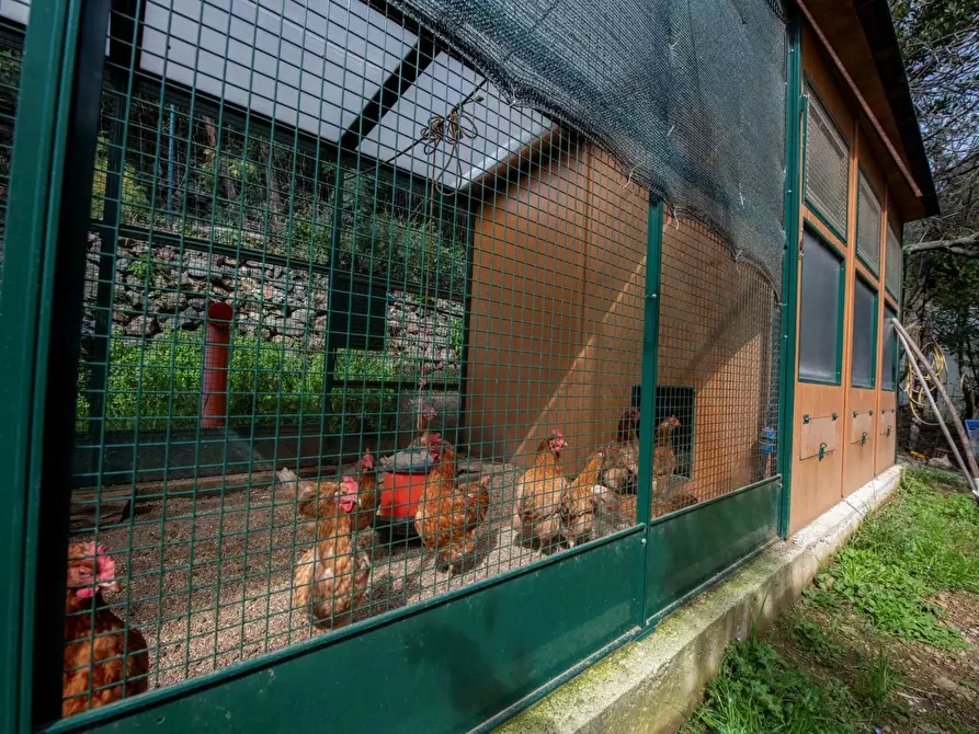 Immagine 51 di Terreno edificabile in vendita  in Via Nansola a Avegno