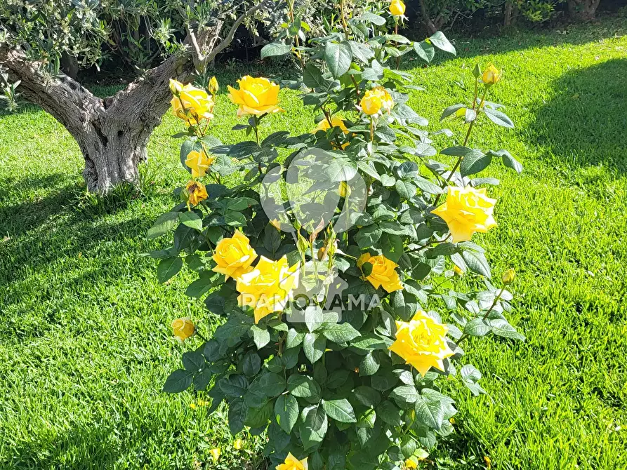 Immagine 19 di Terreno edificabile in vendita  in Costiera Occidentale Partenicense Balestrate a Balestrate