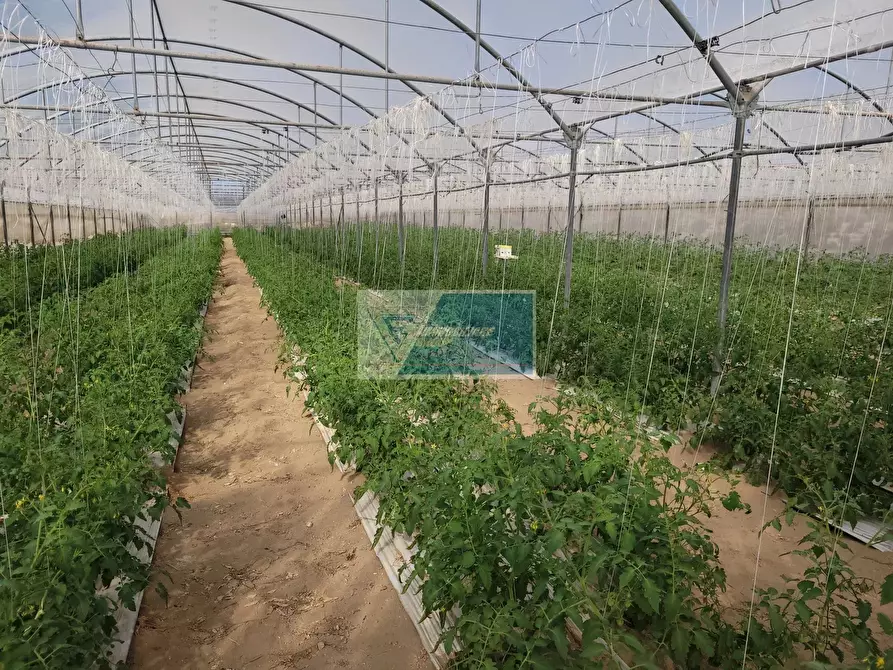 Immagine 5 di Attico in vendita  in CONTRADA GRANELLI a Pachino