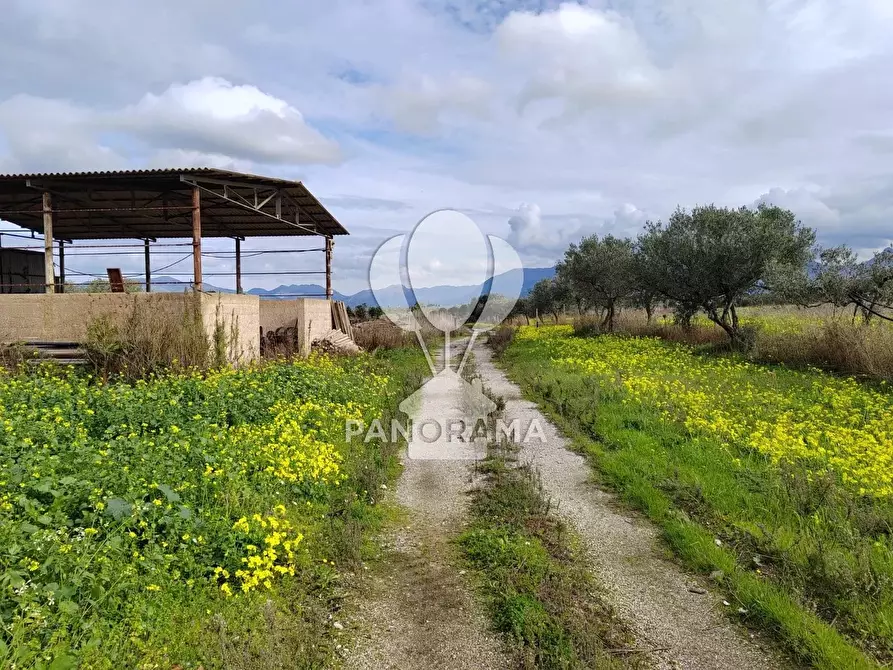 Immagine 5 di Attico in vendita  a Partinico