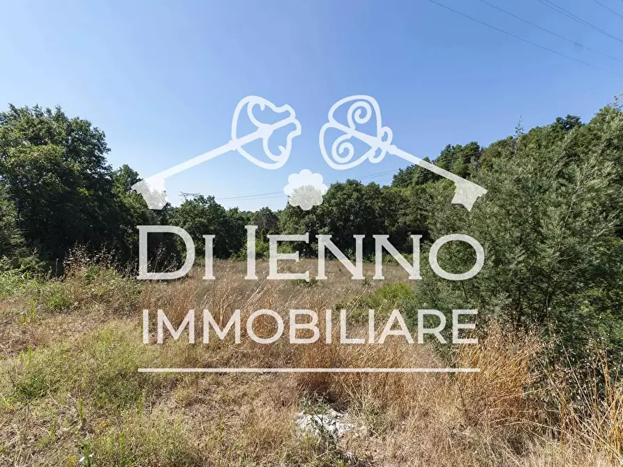 Immagine 12 di Terreno in vendita  a Roma