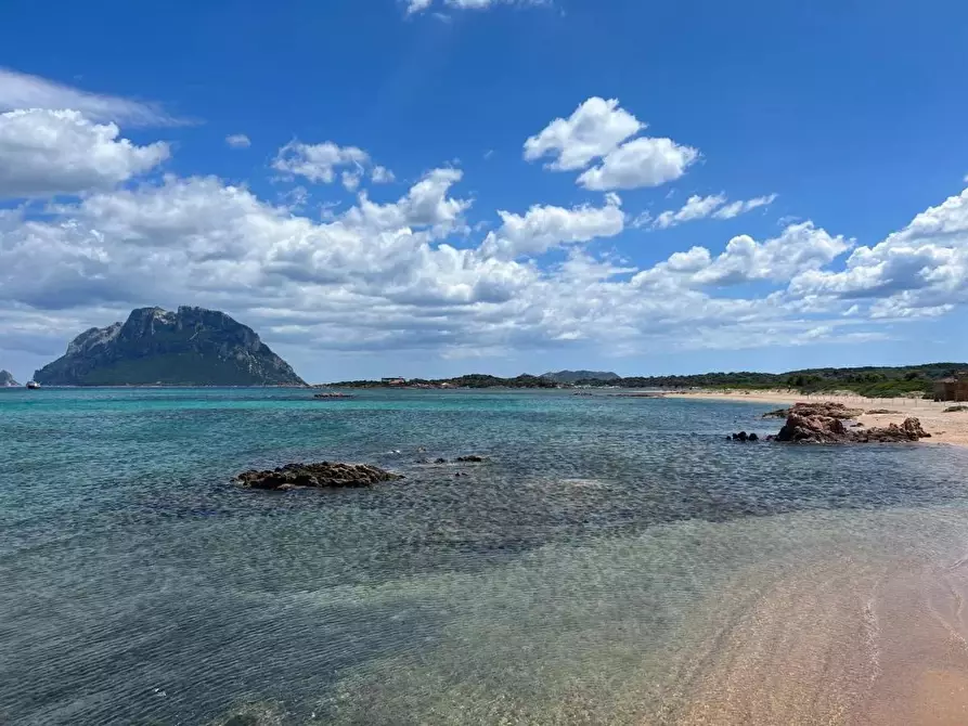 Immagine 18 di Casa trifamiliare in vendita  in via Grazia Deledda, 19. a Aggius