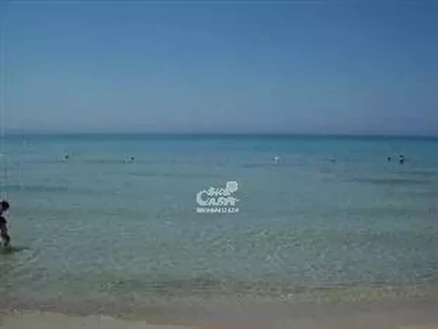 Immagine 5 di Terreno edificabile in affitto  a Marsala