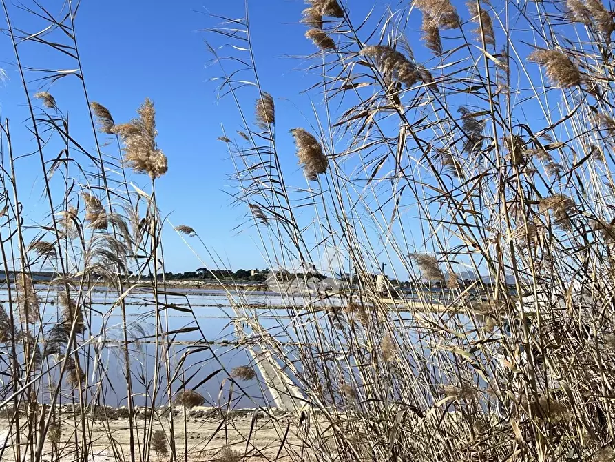 Immagine 30 di Terreno in vendita  a Marsala