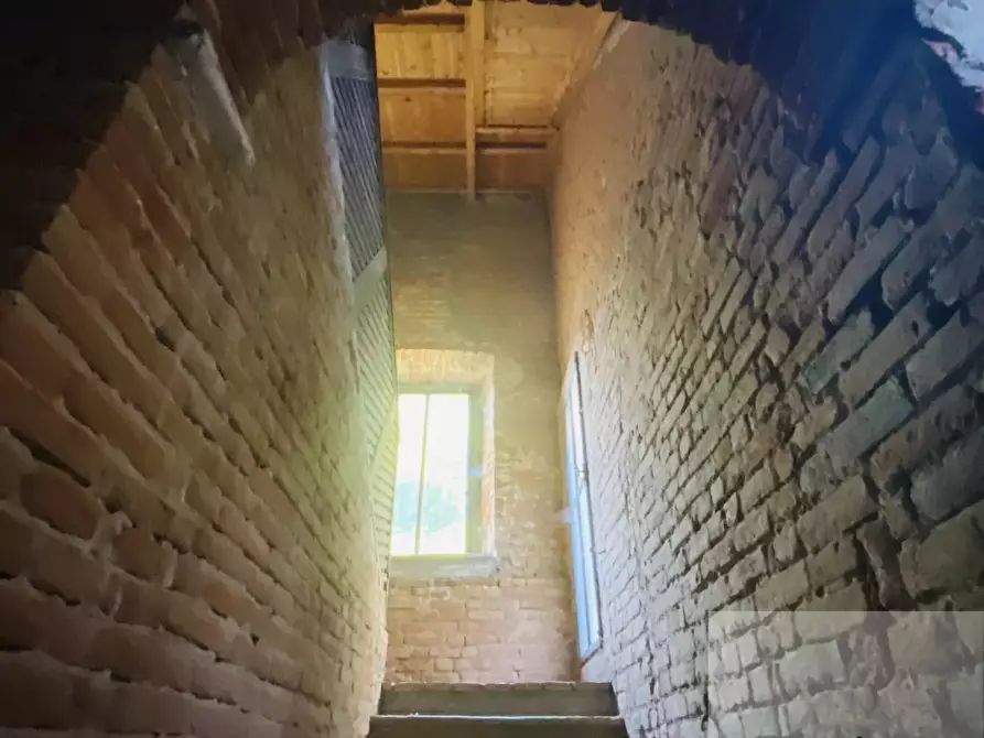 Immagine 11 di Terreno edificabile in vendita  a Bassignana