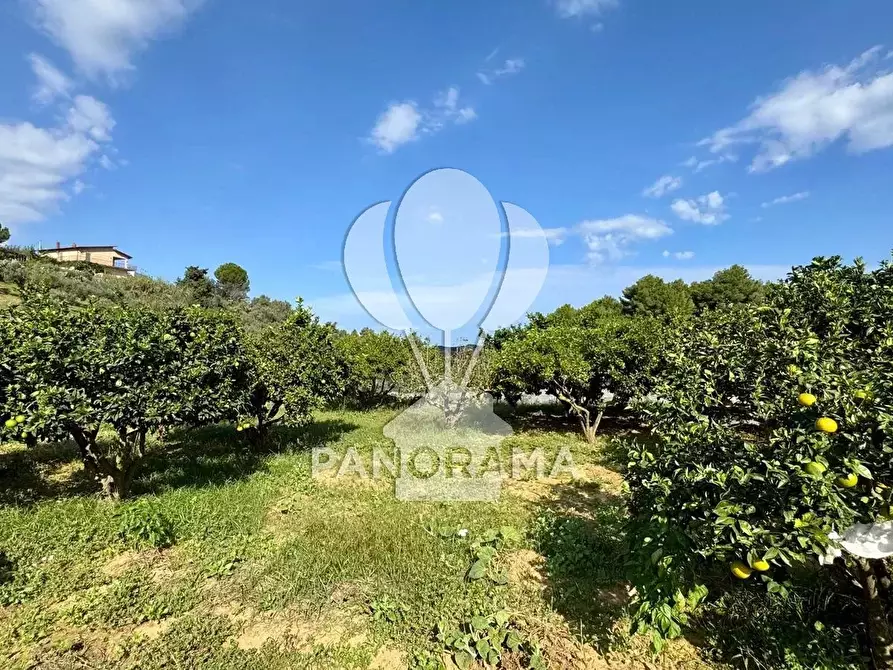 Immagine 11 di Terreno in vendita  in Contrada Timpi Rossi a Alcamo