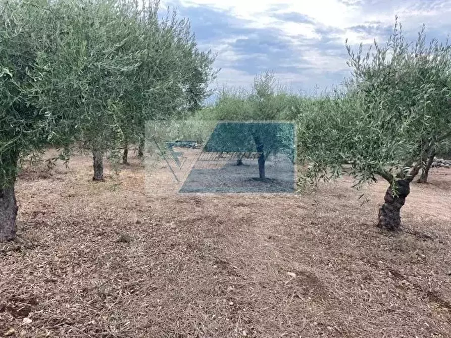 Immagine 2 di Terreno in vendita  in Contrada Trigona a Buccheri