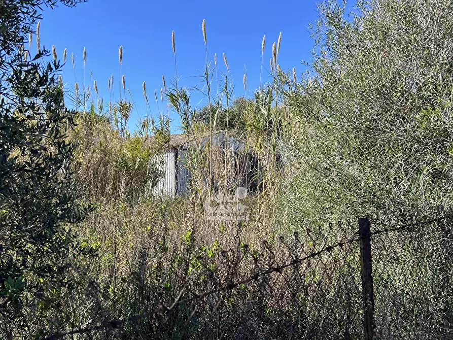 Immagine 6 di Terreno in vendita  a Marsala