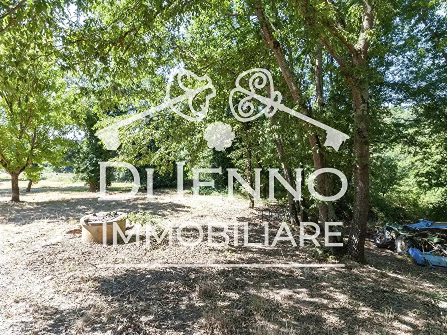 Immagine 18 di Terreno in vendita  a Roma