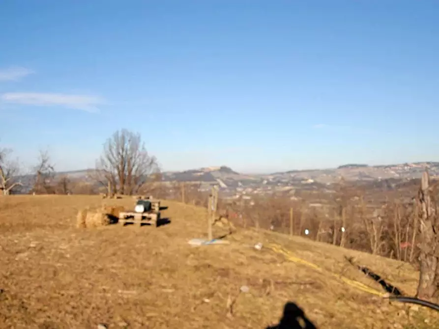 Immagine 4 di Terreno edificabile in vendita  a Barolo